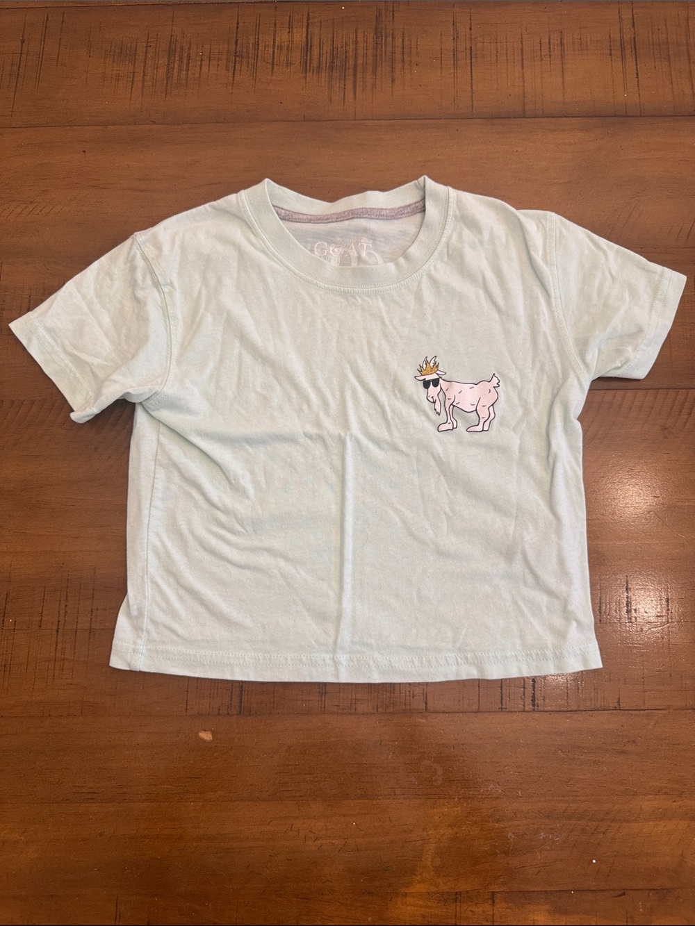Kids Pale Blue Short Sleeve Tee with Playful Goat Graphic